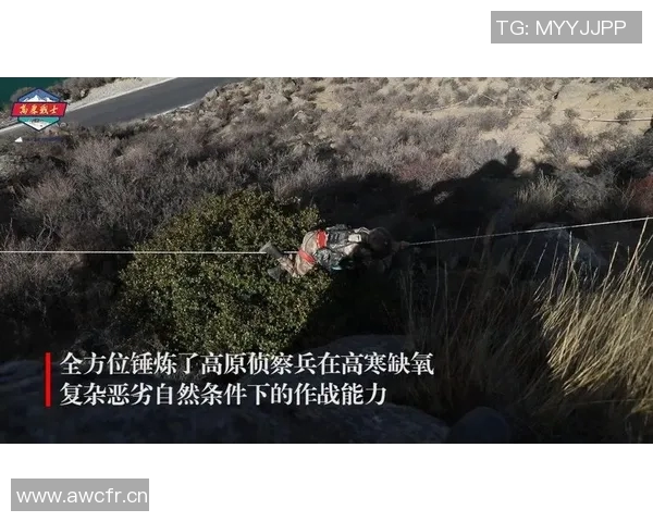 极限运动新手必看：耐力训练基础与实用技巧全攻略