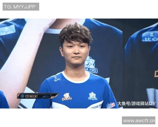 王者荣耀战术解析FPX战队防守体系的深度剖析与应用策略