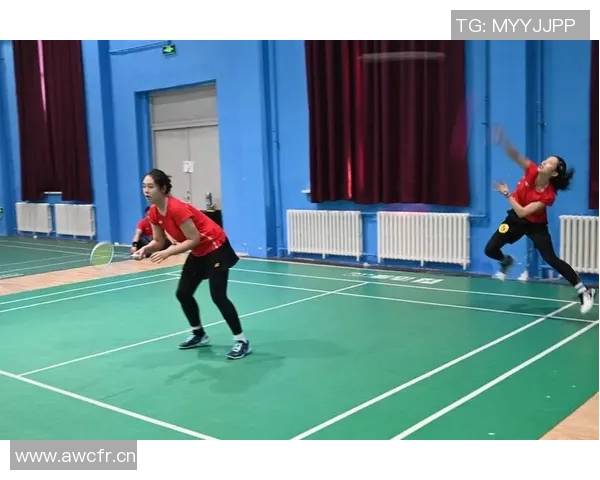 羽毛球焦点：深入分析杭州羽毛球队的实力与发展潜力