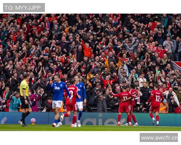 英超比赛及各俱乐部赛事报道集合