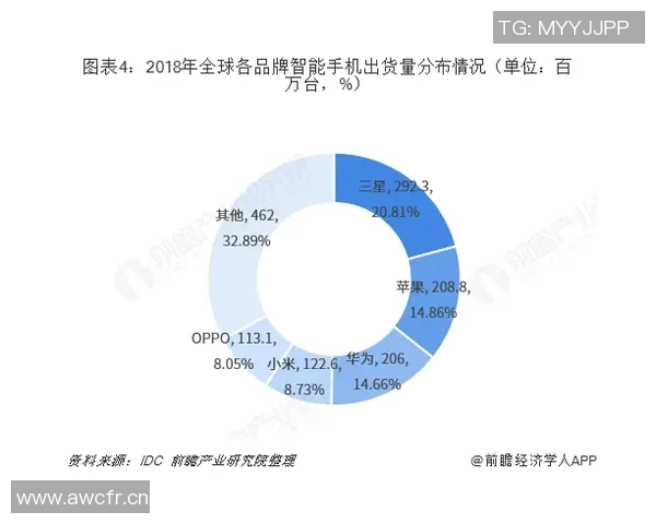 中超联赛历史回顾与发展趋势分析：从初创到国际化的演变路径